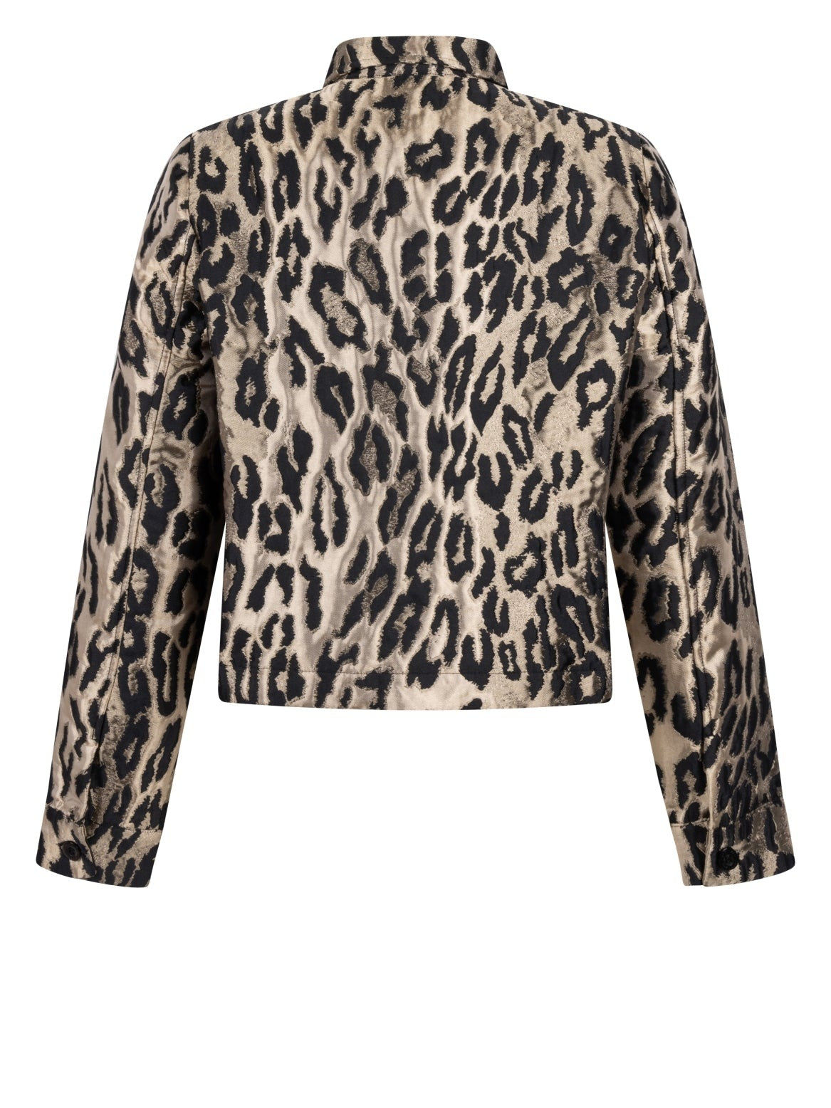255Dalia - animal print - Castelijn mode