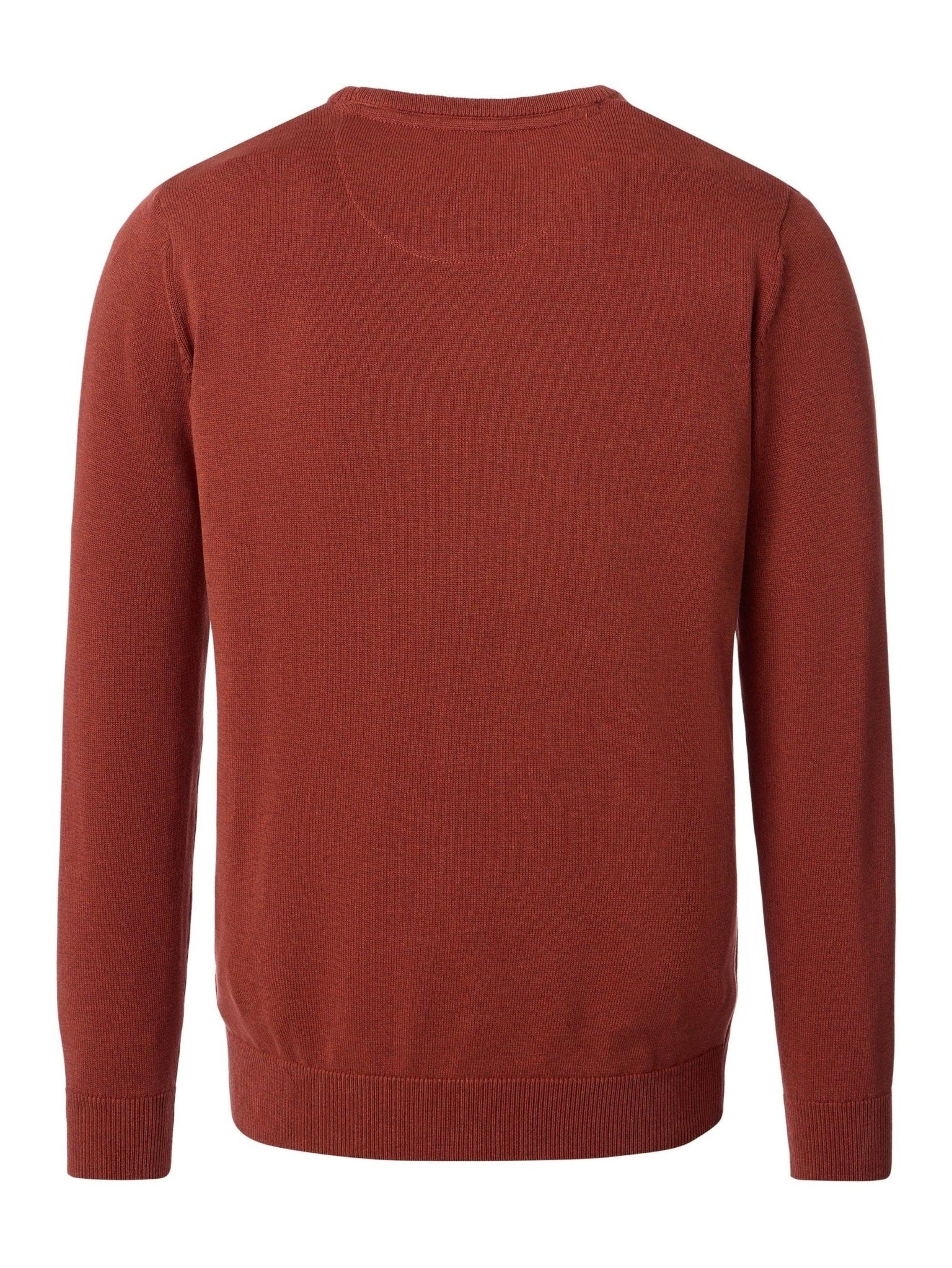 454521000 - 489 Trui met ronde hals - Castelijn mode