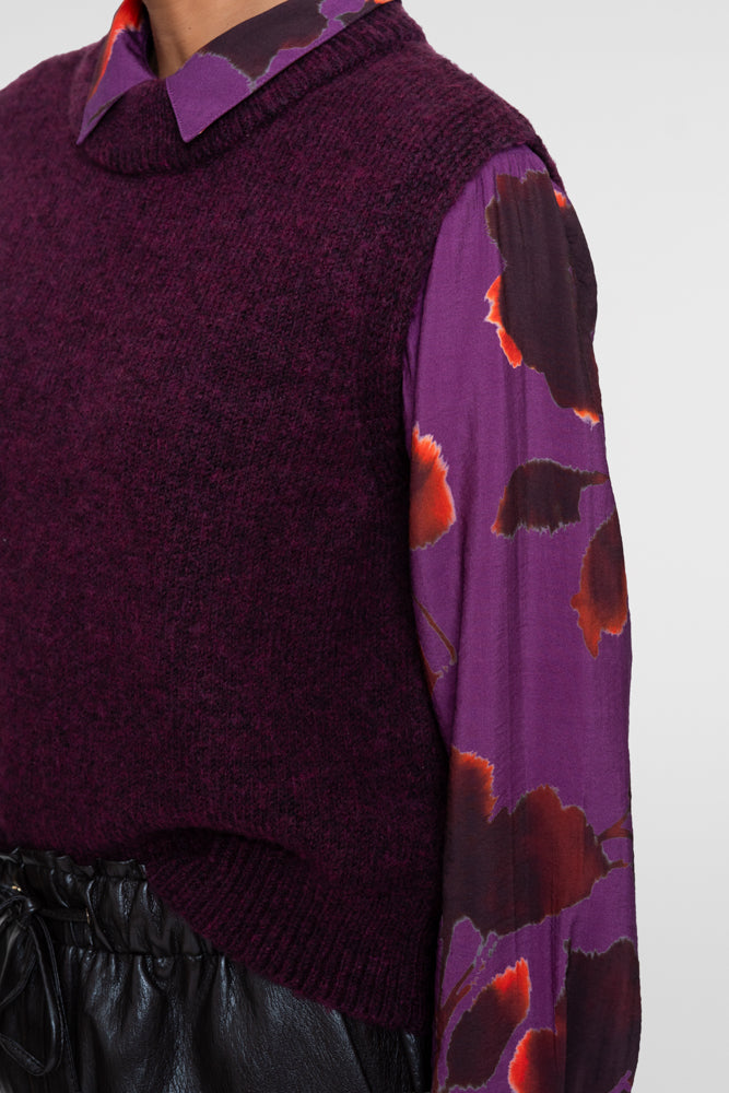 Spencer Aubergine