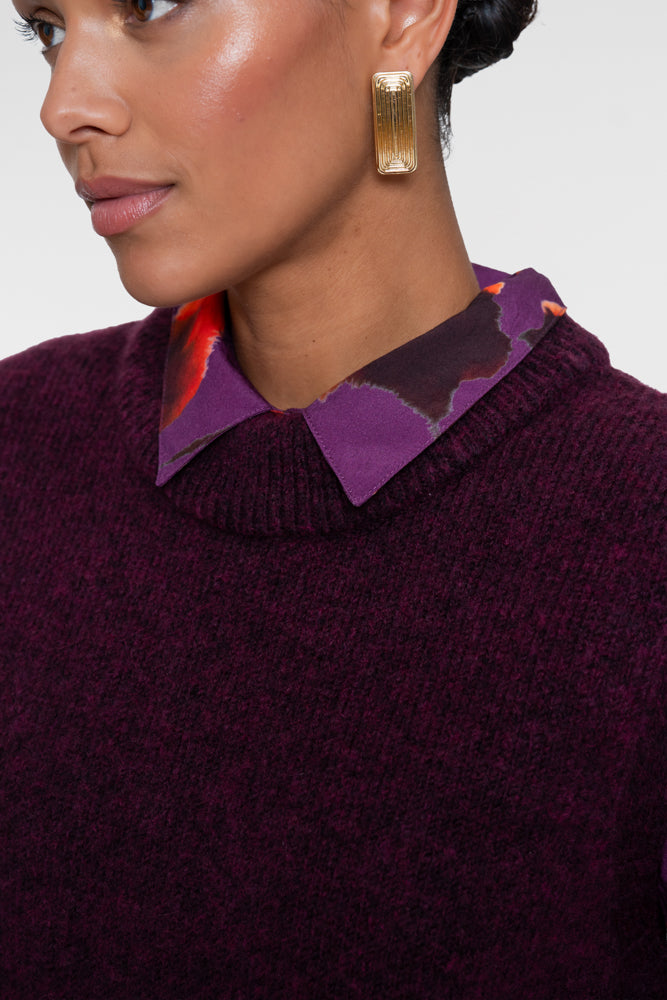 Spencer Aubergine