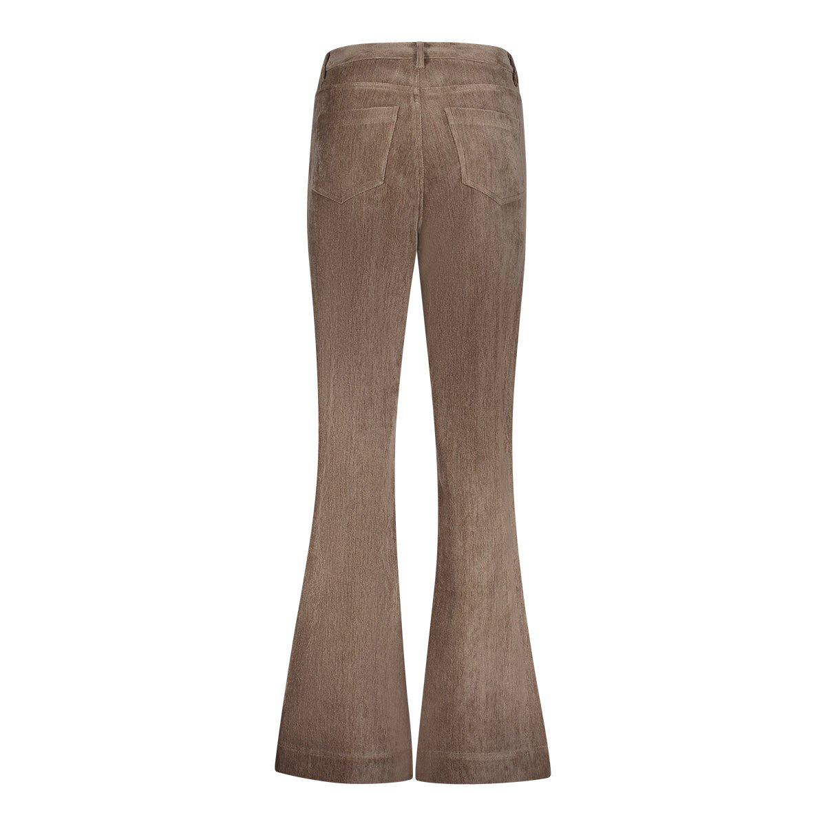 Broek Velours Flared Taupe - Castelijn mode