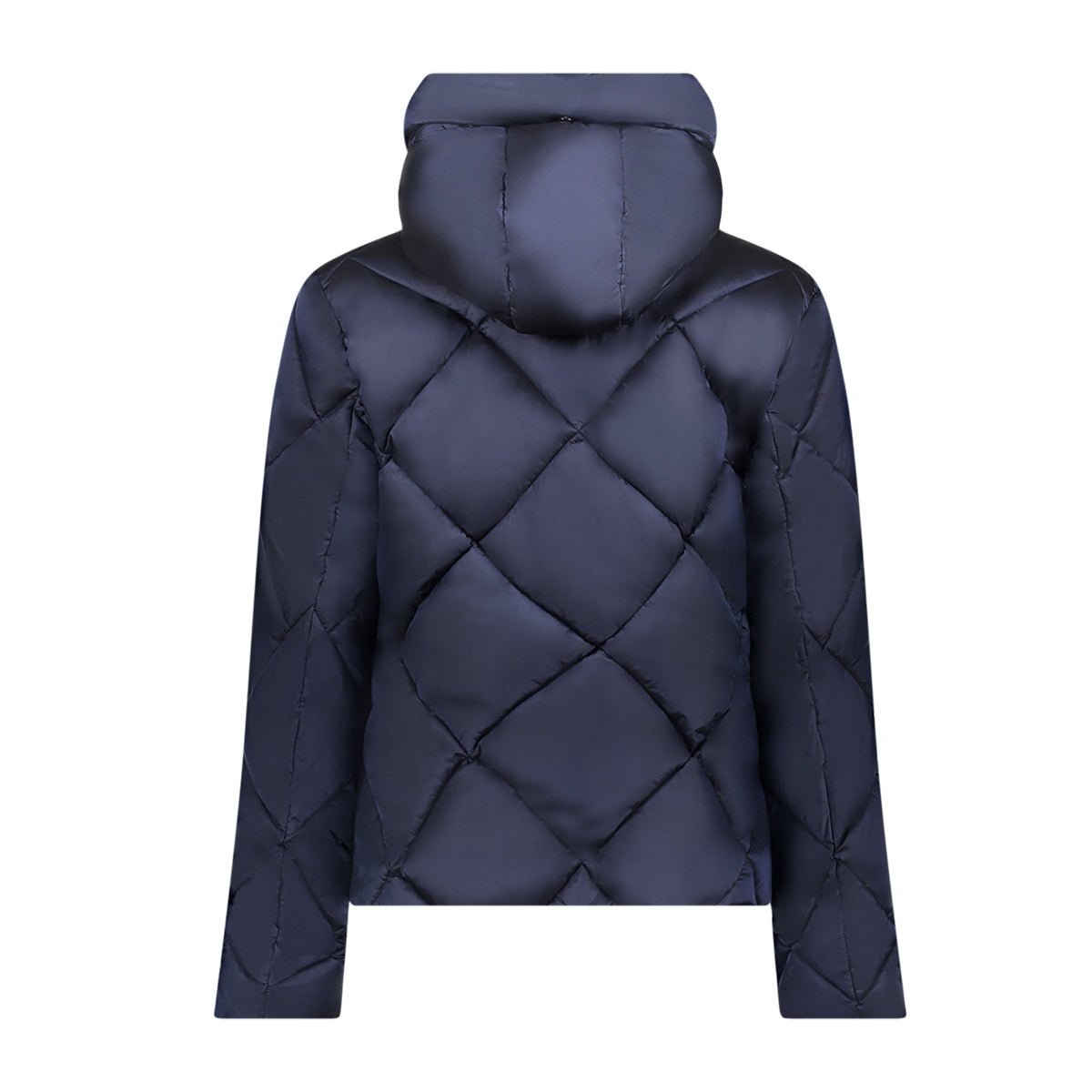 Gewatteerd Jack Capuchon Navy - Castelijn mode