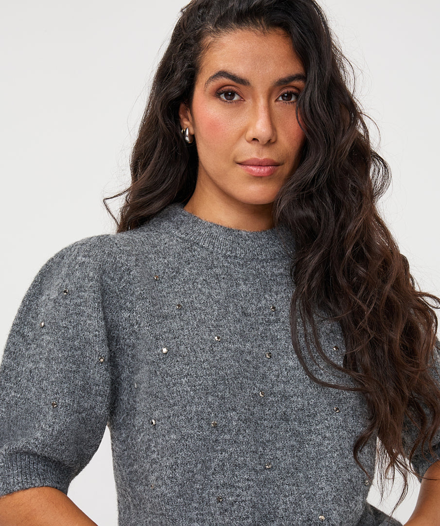 Trui Strass Korte Mouw Grijs