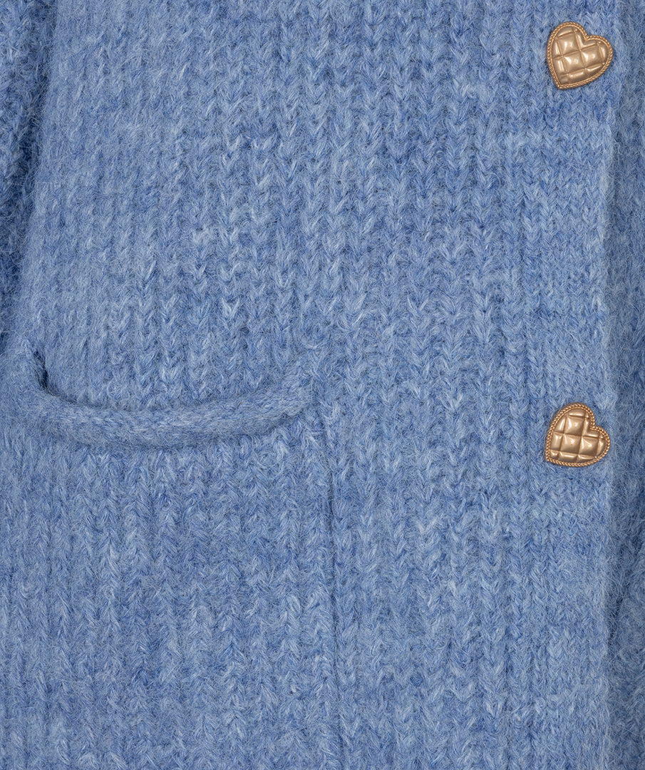 Vest Sierknopen Blauw