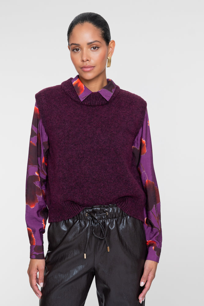 Spencer Aubergine