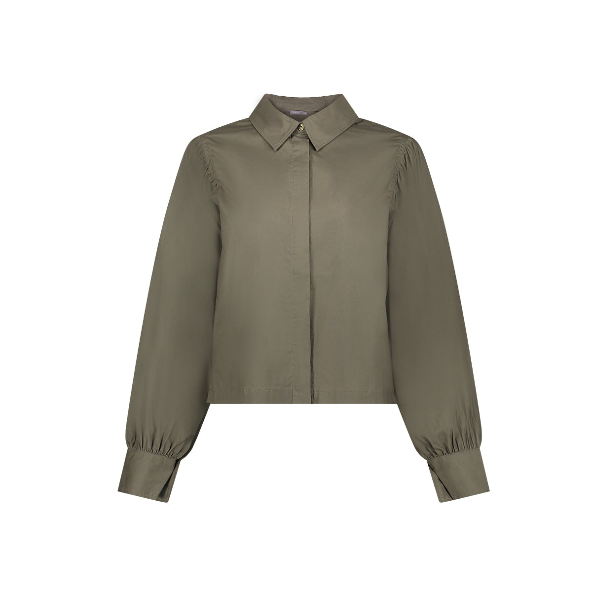 Blouse Plooirug Mosgroen
